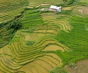 Trekking i Sapa, bådtur i Halong Bay og badeferie i Hoi An